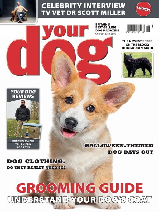 Title details for Your Dog by Warners Group Publications Plc - Available